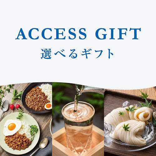 三甲ミッドレディスゴルフトーナメント　選べるギフト