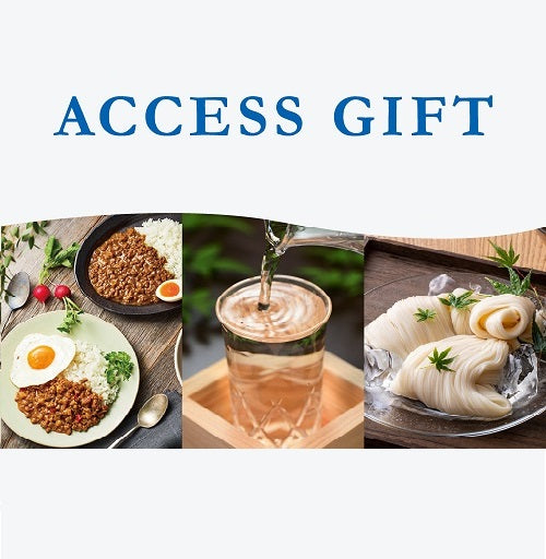ACCESS GIFT